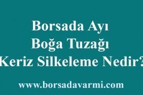 Borsada Ayı, Boğa Tuzağı ve Keriz Silkeleme Nedir?